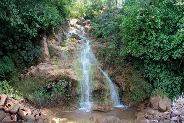 Eco Image 4